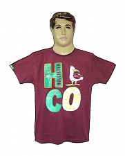 T - SHIRT HOLLISTER 14